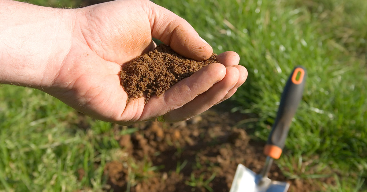Test Your Soil Now for Best Results Next Spring | Piedmont Culinary Guild