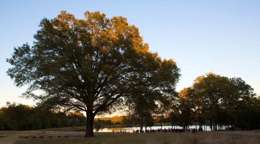 Wild Hope Farm