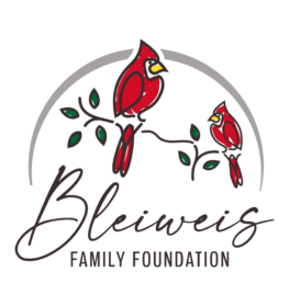 BB01-Bleiweis Family Foundation Logo FINAL (1)