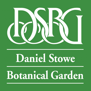 DSBG-Logo-White-on-Green